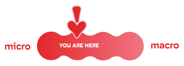 Micro vs Macro dosage scale